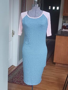 LuLaRoe Julia Blue Pink Dress